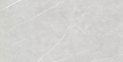 Плитка Tau Ceramica Elite Silver Matt 90x180, Фото