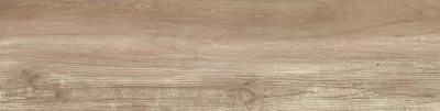 Плитка Tau Ceramica Eternal Roble Rec 25x100, Фото