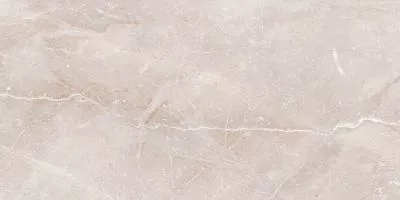 Плитка MEGAGRES Optex STONICO OYSTER GREY 60x120, Фото