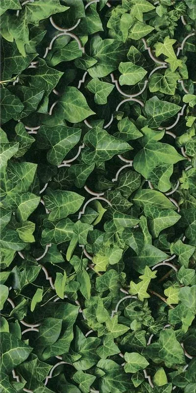 Декор Paradyz DREAM UNIWERSALNE INSERTO SZKLANE 30x60, Фото