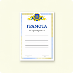 Несуворої звітності