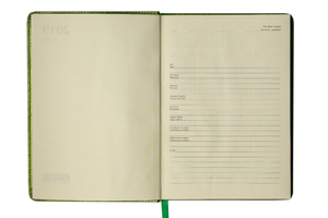 Ежедневник датированный 2019 A5 METALLIC Buromax BM.2143 - количество страниц: 336