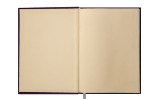 Ежедневник датированный 2020 PROVENCE, A5, 336 стр., BUROMAX BM.2161 - формат: а5