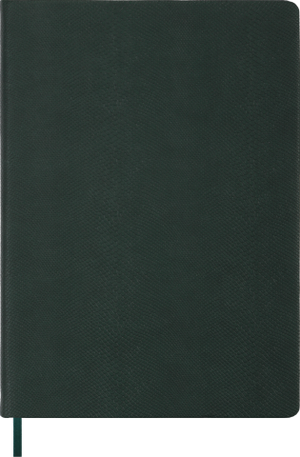 Щоденник недатований Amazonia А4 BM.2098 Buromax