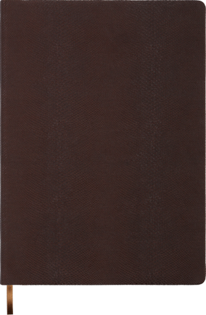 Щоденник недатований Amazonia А4 BM.2098 Buromax