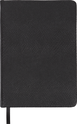 Щоденник недатований AMAZONIA A6 BM.2612 Buromax