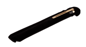 Ручка пір'яна в оксамитовому чохлі R22101.F Regal - Фото 1