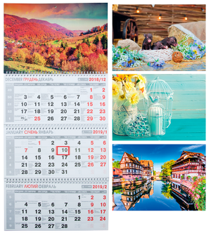 Календарь настенный квартальный на 2019 г. (3 пружины) Buromax BM.2105