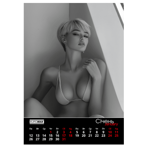 Календарь настенный 2026 год А2 1 пружина Buromax Women BM.210653