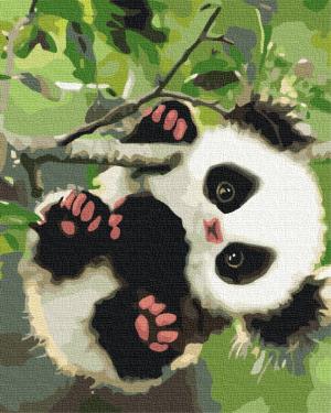 Набор, техника акриловая живопись Игривая панда 40х50 см ZiBi KIDS Line ZB.64039