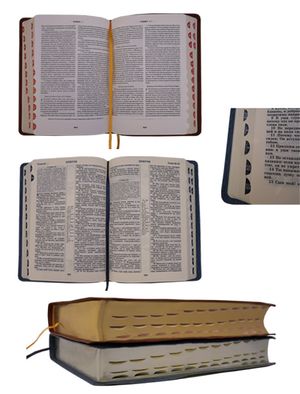 Книга Біблія (17 х 24 см), натуральна шкіра Паломник Foliant EG532 - Фото 2