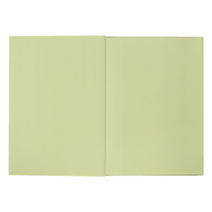 Книга канцелярская Buromax MORANDI STYLE А4 96 л клетка офсет BM.2400-432i