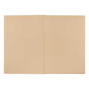 Книга канцелярская Buromax MORANDI STYLE А4 96 л клетка офсет BM.2400-432i