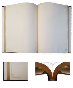 Книга почетных гостей 25см х 34см натуральная кожа Агат Foliant EG480 - Фото 2