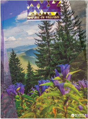 Книга учета Nature of Ukraine А4 твердая обложка 96 листов Optima O20378 - Фото 3