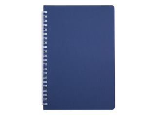 Книжка записная на пружине BARK B5, 60л.,кл., пластик.обл.,Buromax BM.24554154