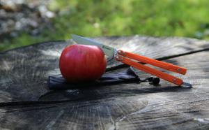 Нож-бабочка (балисонг) складной оранжевый Ganzo G766-OR - Фото 9