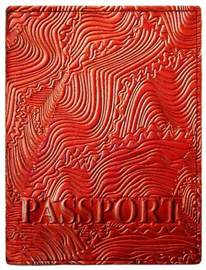 Обкладинка на паспорт натуральна шкіра Фантазія Foliant EG448 - Фото 1