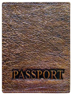 Обкладинка на паспорт натуральна шкіра PASSPORT Foliant - Фото 2