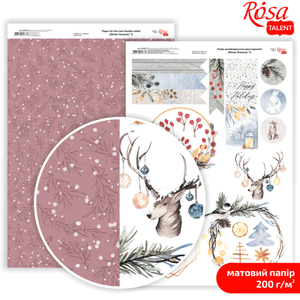 Бумага дизайнерская двухсторонняя матовая, winter dreamer, A4, Rosa Talent 5318072