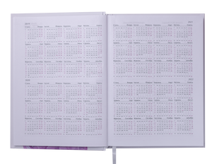 Щоденник датований 2020 ALLURE, A5, 336 стор, BUROMAX BM.2178 - колір: рожевий