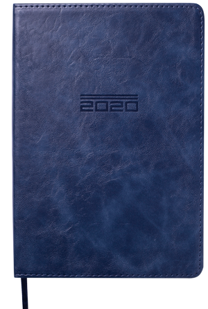Ежедневник датированный 2020 ALTRIUM, A5, 336 стр., BUROMAX BM.2194 - формат: а5