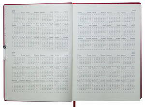 Ежедневник датированный 2020 BRAVO (Soft), A4, BUROMAX BM.2740 - Фото 7