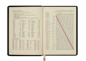 Ежедневник датированный 2020 CASTELLO VINTAGE, A6, 336 стр., BUROMAX BM.2522 - цвет: вишневый