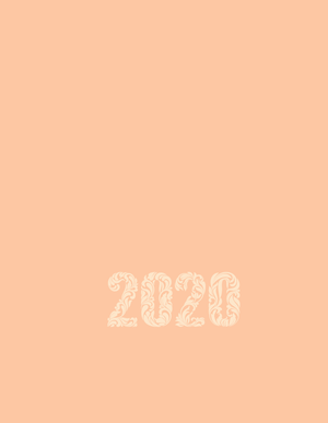 Ежедневник датированный 2020 CRAYON, A5, 336 стр., BUROMAX BM.2107 - цвет: персиковый