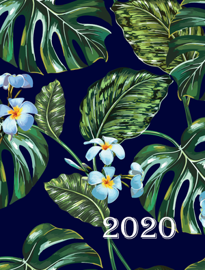 Щоденник датированый 2020 FANCY, A5, 336 стор, BUROMAX BM.2169 - колір: синій