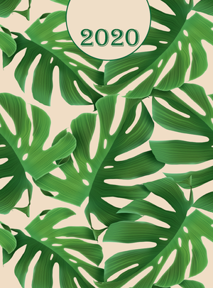 Щоденник датированый 2020 FANCY, A5, 336 стор, BUROMAX BM.2169 - колір: пісочний