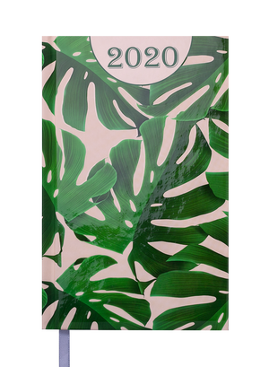 Ежедневник датированный 2020 FANCY, A6, 336 стр., BUROMAX BM.2569 - материал обложки: полиграфическая