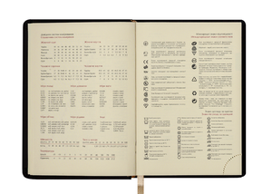 Щоденник датований 2020 METALLIC, A6, BUROMAX BM.2524 - матеріал обкладинки: штучна шкіра