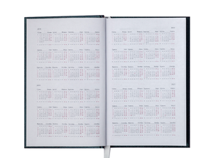 Ежедневник датированный 2020 MONOCHROME, A5, BUROMAX BM.2160
