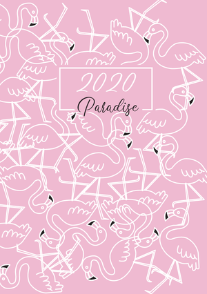 Ежедневник дат. 2020 PARADISE, A5, 336 стр., BUROMAX BM.2198 - цвет: розовый