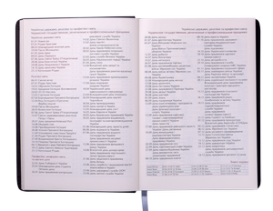 Ежедневник датированный 2020 QUATTRO, A6, 336 стр., BUROMAX BM.2519 - цвет: лавандовый