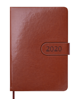 Ежедневник датированный 2020 SOLAR, A5, 336стр., BUROMAX BM.2125 - цвет: коричневый