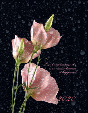 Ежедневник датированный 2020 SPOLETO, A5, 336 стр., BUROMAX BM.2168 - цвет: розовый