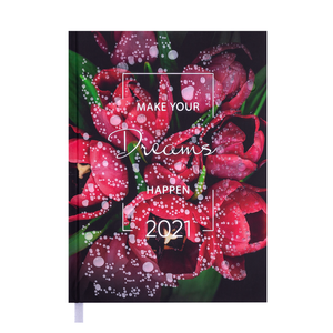 Щоденник датований 2021 MAGIC, A5, BUROMAX BM.2159 - матеріал обкладинки: поліграфічна