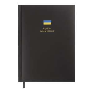 Ежедневник датированный 2026 A5 Buromax BRAVE BM.21125