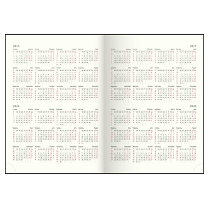 Ежедневник датированный 2026 A6 Buromax NEON BM.2589