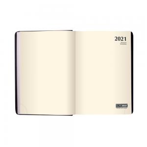 Ежедневник датированный IDEAL 2022 А5 Buromax BM.2175