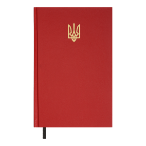 Ежедневник недатированный Buromax AIRY A5 BM.20731