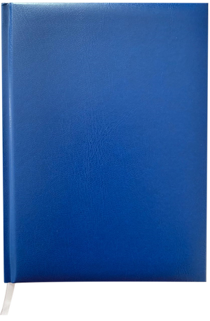 Ежедневник недатированный MASTER, A5, 288 стр. в клетку, BUROMAX BM.2003