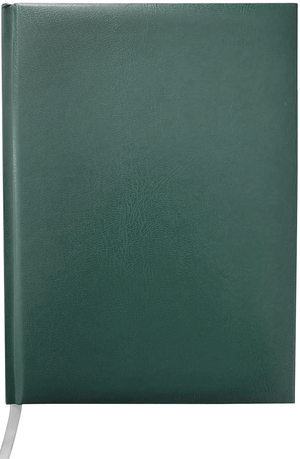 Щоденник недатований MASTER, A5, 288 сторінок в клітку, BUROMAX BM.2003