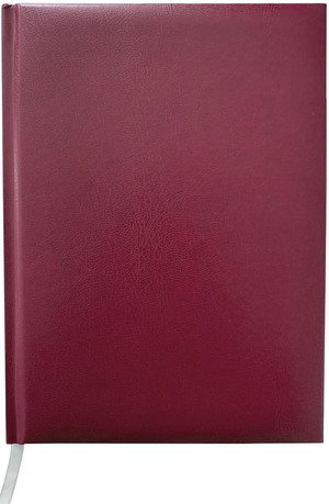 Ежедневник недатированный MASTER, A5, 288 стр. в клетку, BUROMAX BM.2003 - Фото 3