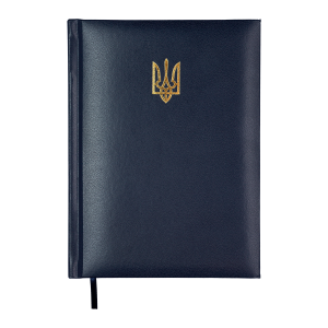 Щоденник недатований A5 Buromax POWERFUL BM.20710-03