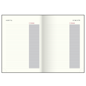 Щоденник недатований A5 Buromax PRIME BM.20380