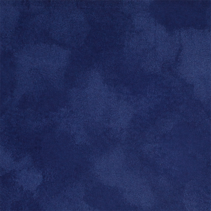 Щоденник недатований Buromax VELOUR A5 336 сторінок BM.20770-10