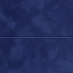 Щоденник недатований Buromax VELOUR A5 336 сторінок BM.20770-10